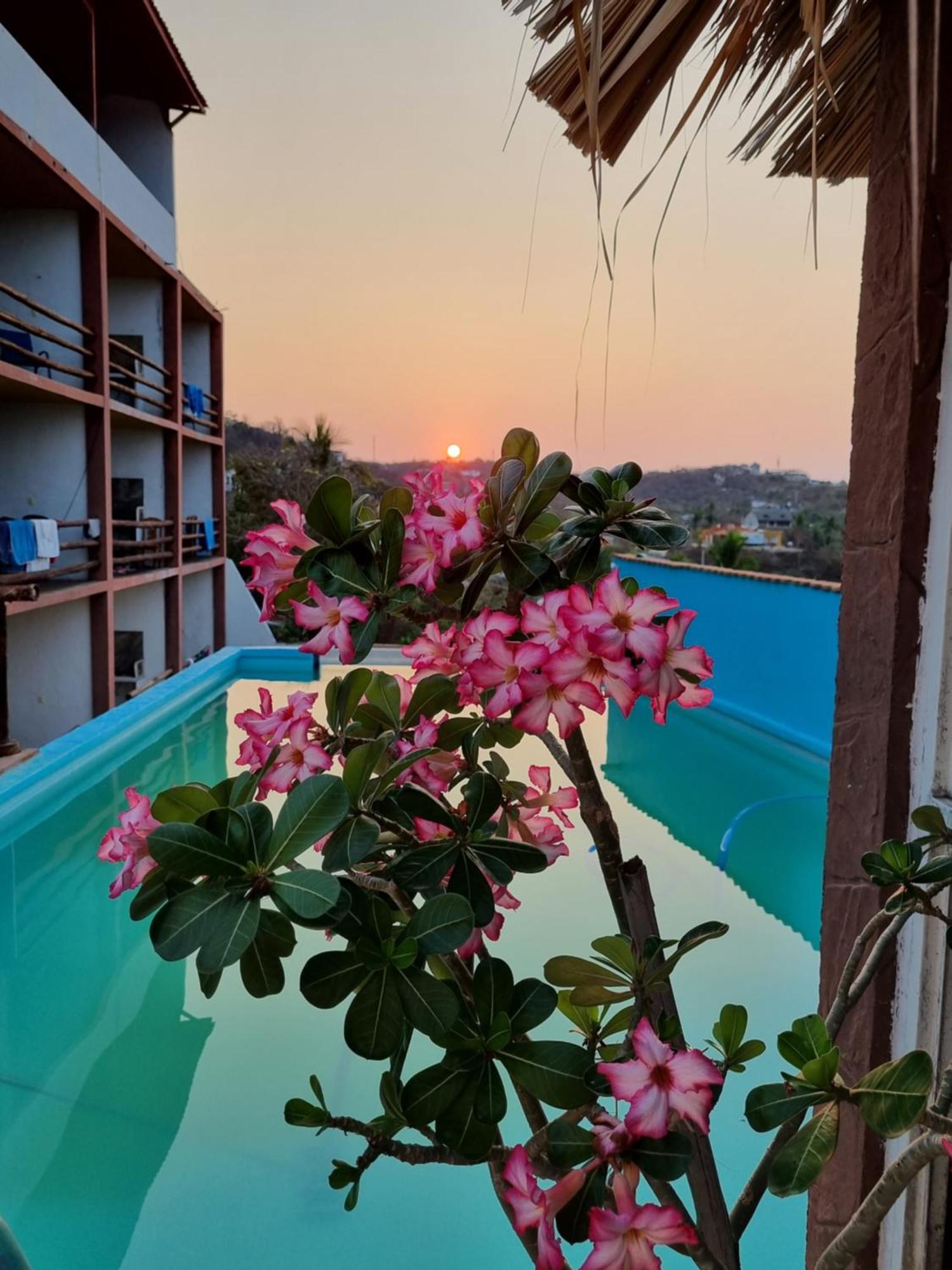 Namaste Zipolite Suites Eksteriør billede